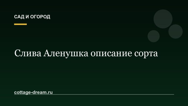 Слива Аленушка описание сорта
