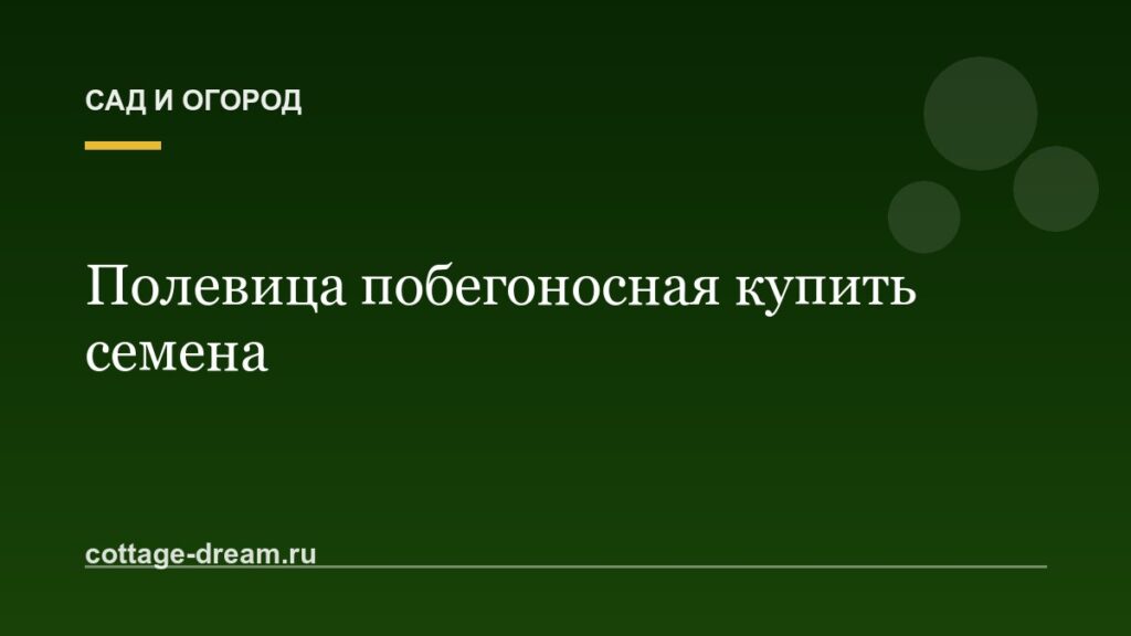Полевица побегоносная купить семена
