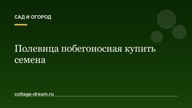 Полевица побегоносная купить семена