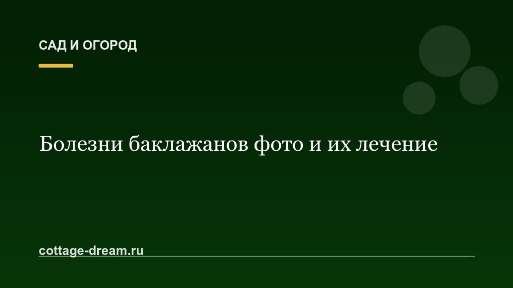 Болезни баклажанов фото и их лечение