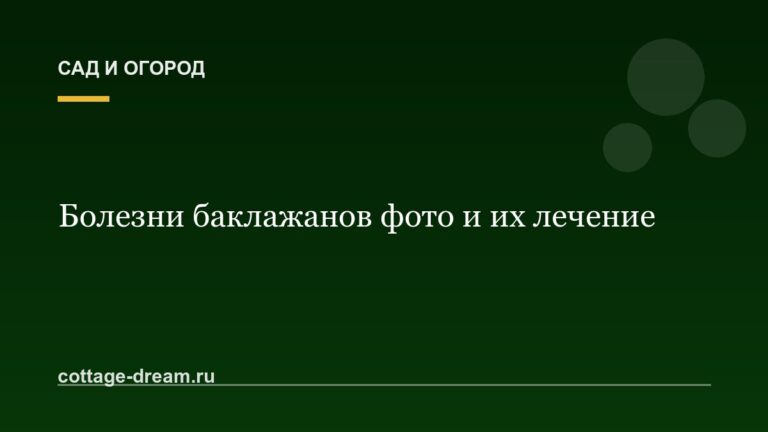 Болезни баклажанов фото и их лечение