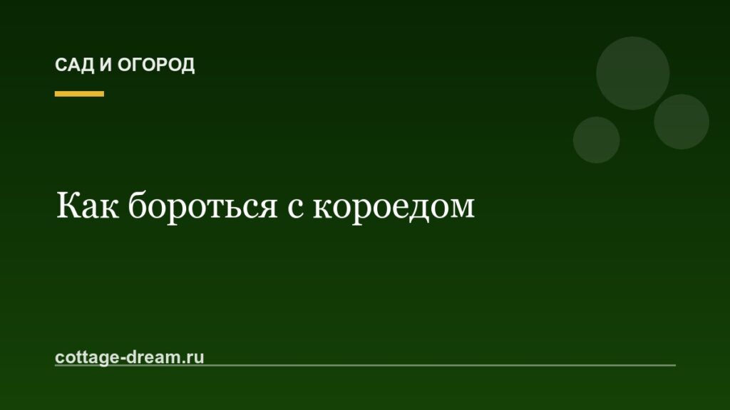 Как бороться с короедом