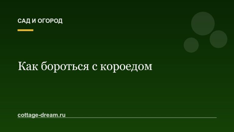 Как бороться с короедом
