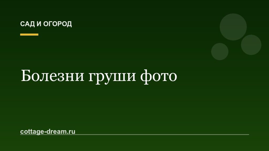 Болезни груши фото