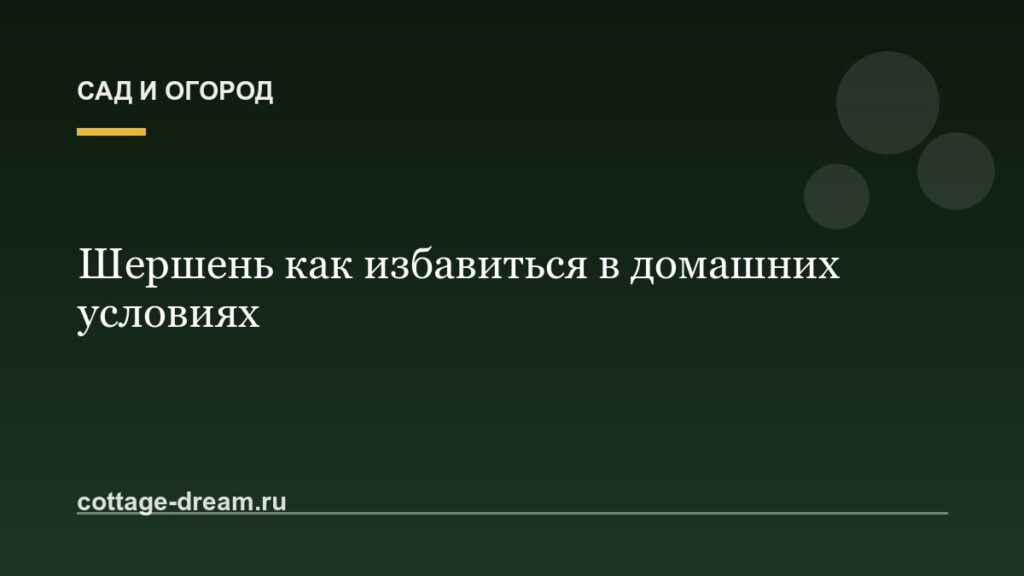 Шершень как избавиться в домашних условиях