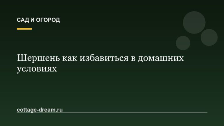 Шершень как избавиться в домашних условиях