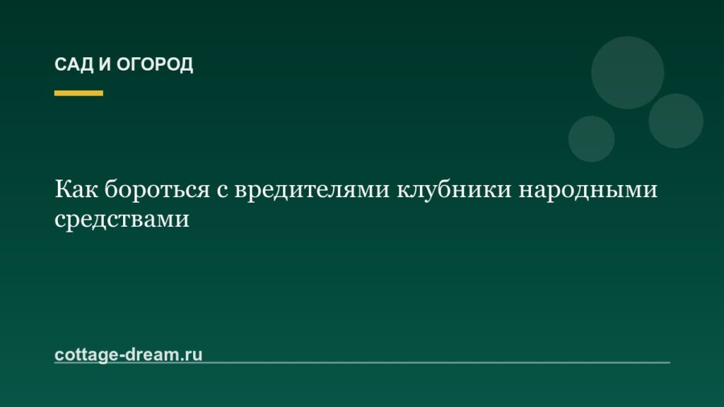 Как бороться с вредителями клубники народными средствами