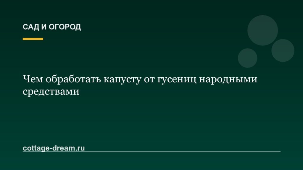 Чем обработать капусту от гусениц народными средствами