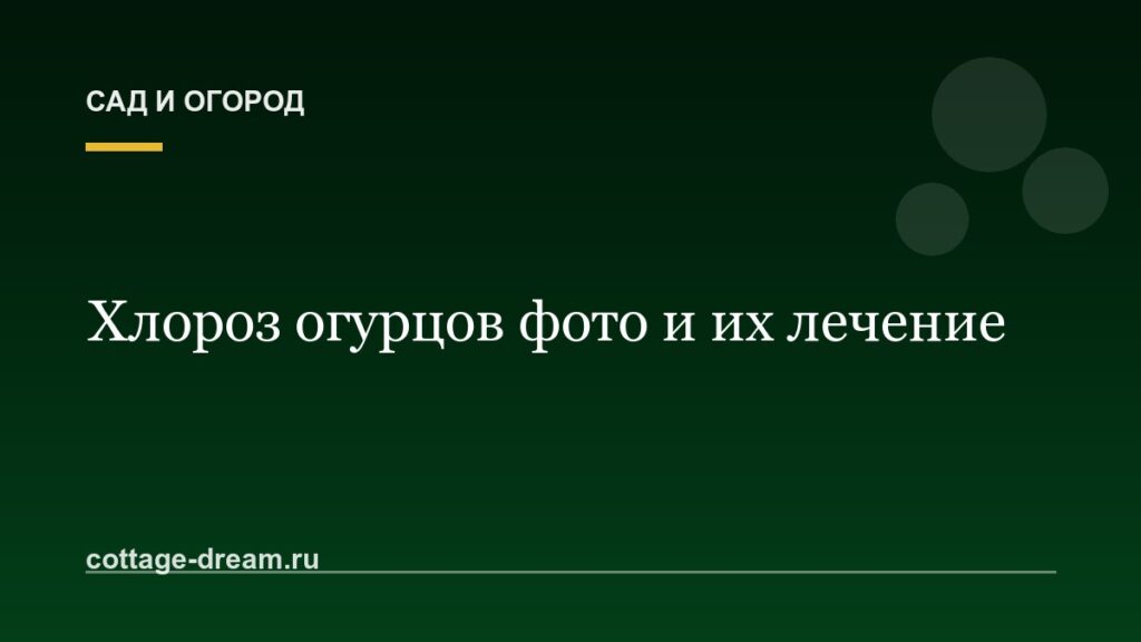 Хлороз огурцов фото и их лечение