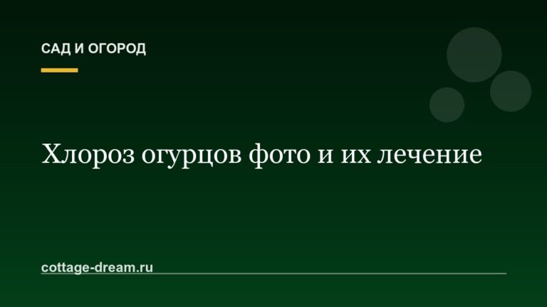 Хлороз огурцов фото и их лечение