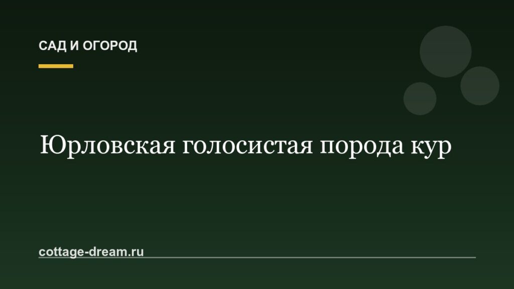 Юрловская голосистая порода кур