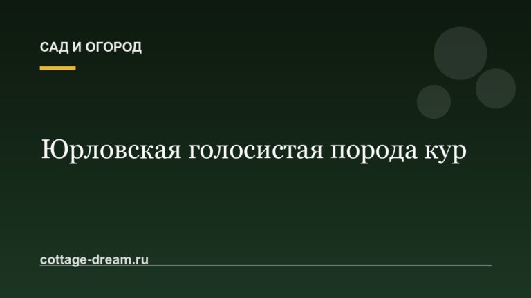 Юрловская голосистая порода кур