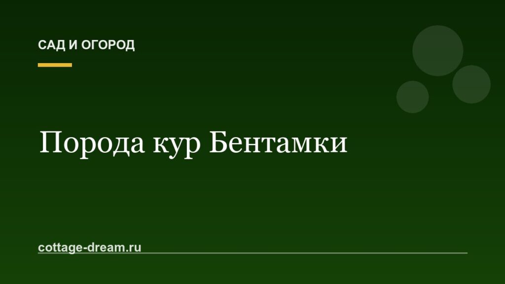 Порода кур Бентамки