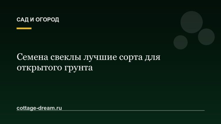 Семена свеклы лучшие сорта для открытого грунта