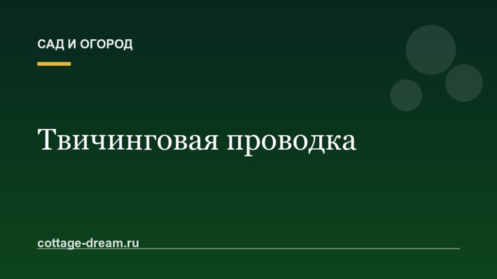 Твичинговая проводка