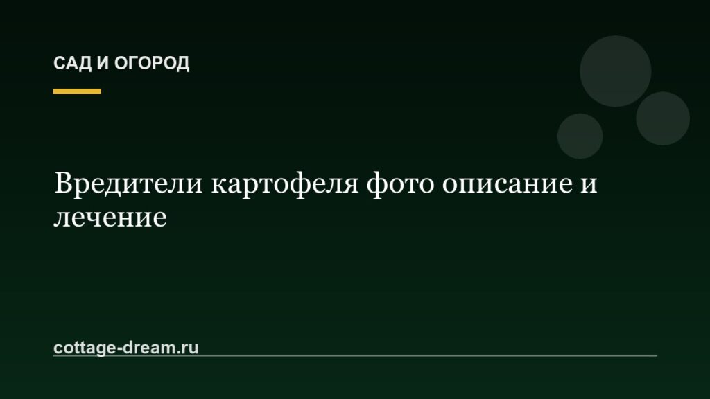 Вредители картофеля фото описание и лечение