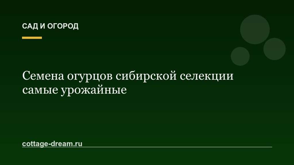 Семена огурцов сибирской селекции самые урожайные