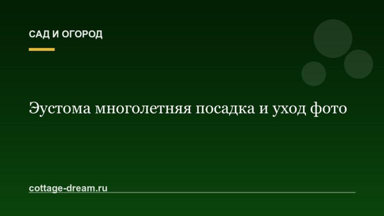Эустома многолетняя посадка и уход фото