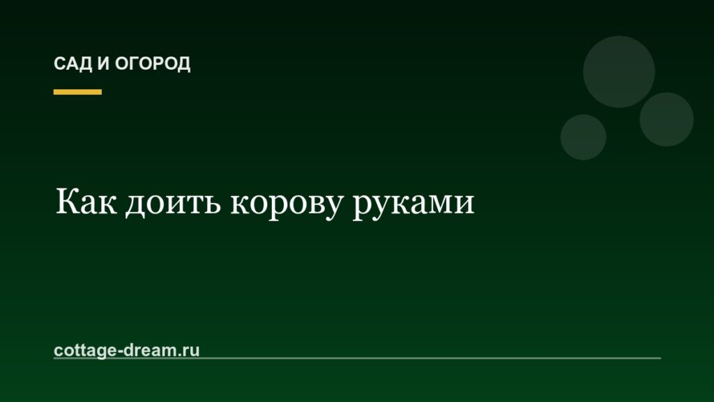 Как доить корову руками