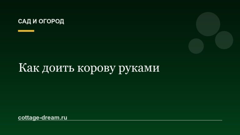 Как доить корову руками