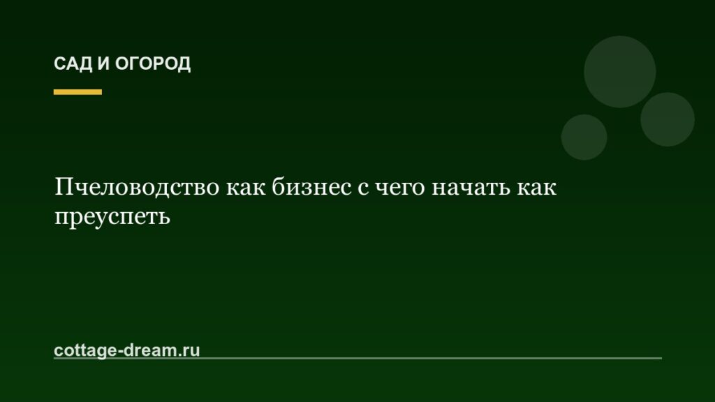 Пчеловодство как бизнес с чего начать как преуспеть