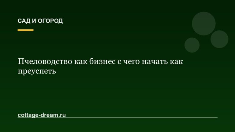 Пчеловодство как бизнес с чего начать как преуспеть