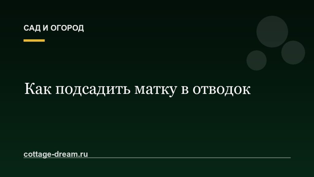 Как подсадить матку в отводок
