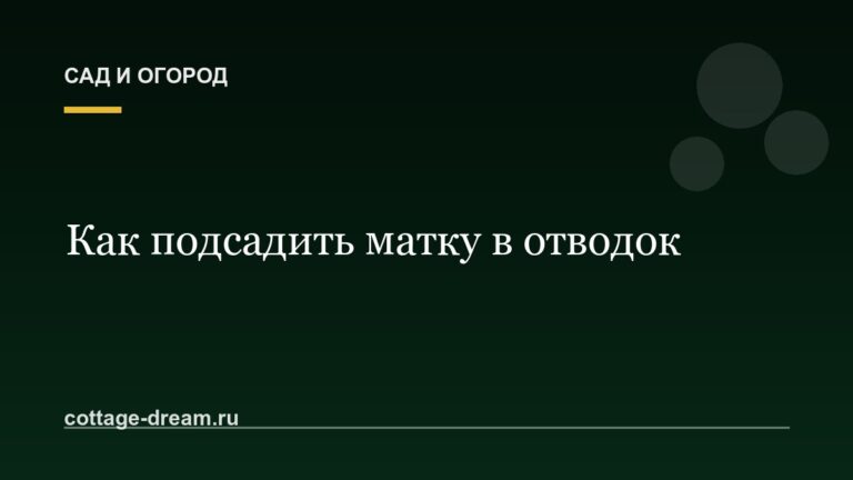 Как подсадить матку в отводок