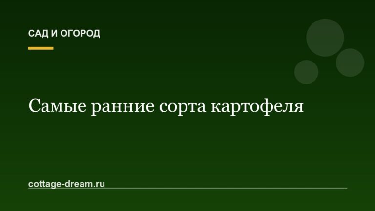 Самые ранние сорта картофеля