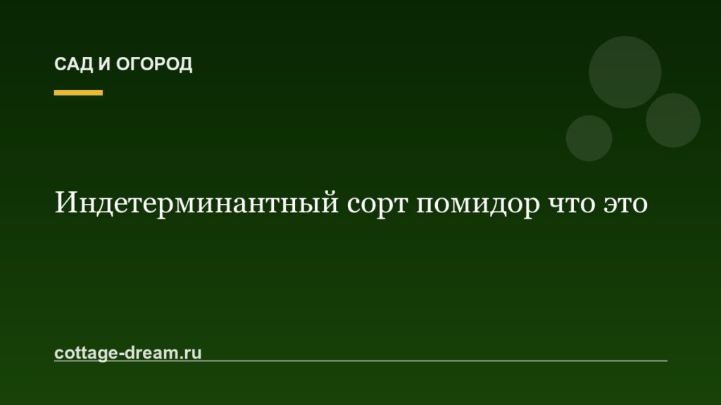 Индетерминантный сорт помидор что это