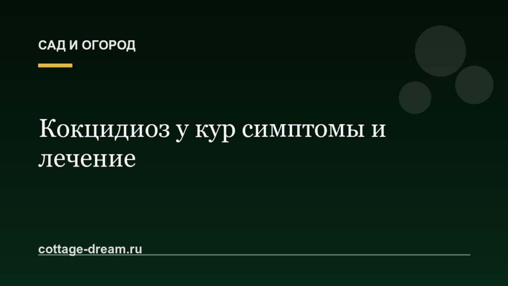 Кокцидиоз у кур симптомы и лечение