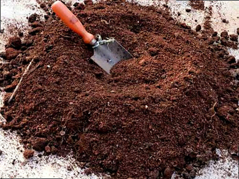 Торф для огорода польза и вред