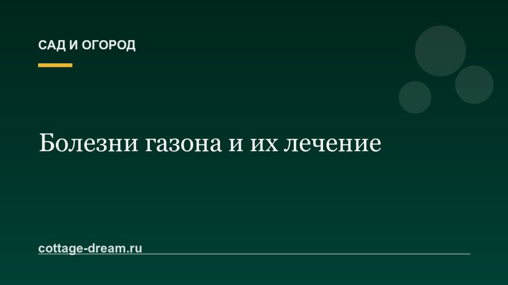 Болезни газона и их лечение