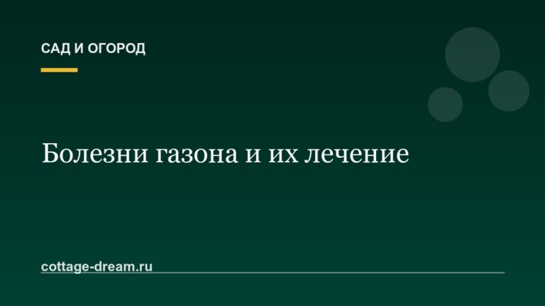 Болезни газона и их лечение