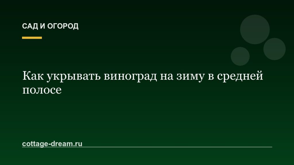 Как укрывать виноград на зиму в средней полосе