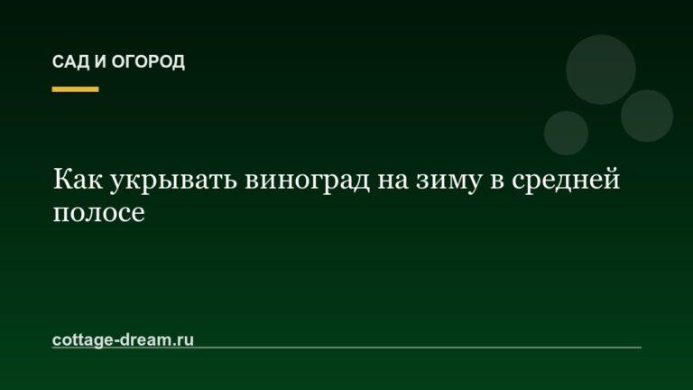 Как укрывать виноград на зиму в средней полосе