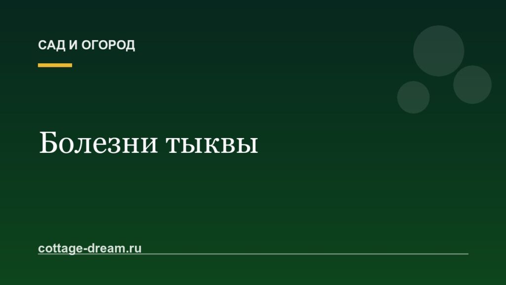 Болезни тыквы