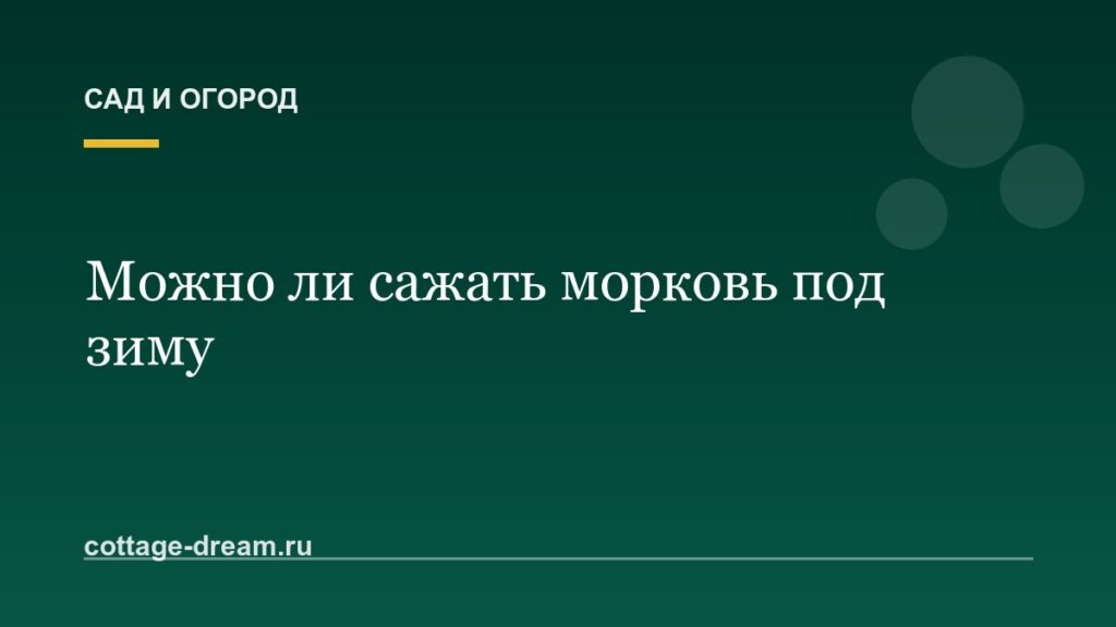 Можно ли сажать морковь под зиму