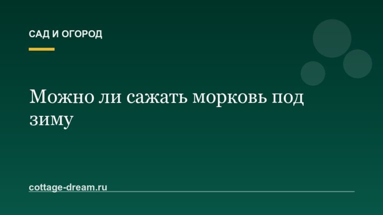 Можно ли сажать морковь под зиму