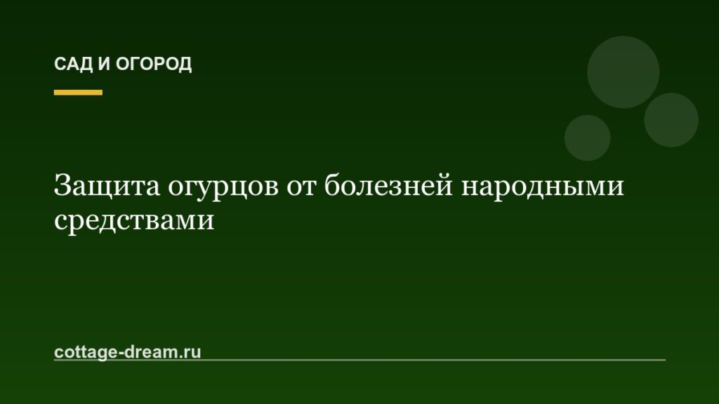Защита огурцов от болезней народными средствами