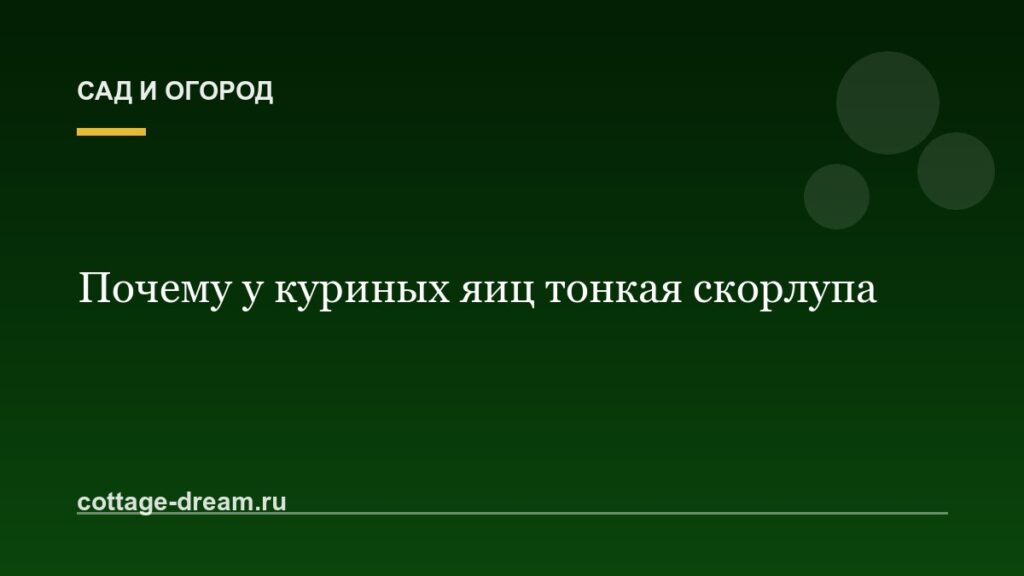 Почему у куриных яиц тонкая скорлупа