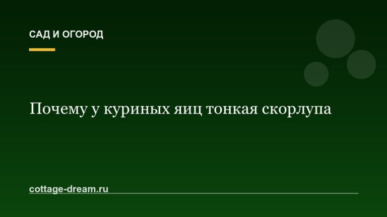 Почему у куриных яиц тонкая скорлупа