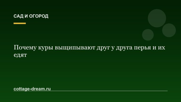 Почему куры выщипывают друг у друга перья и их едят