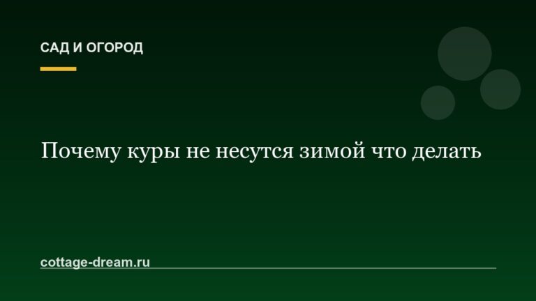 Почему куры не несутся зимой что делать