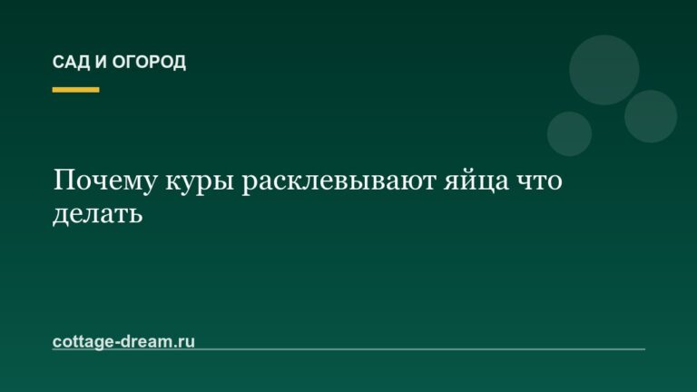 Почему куры расклевывают яйца что делать