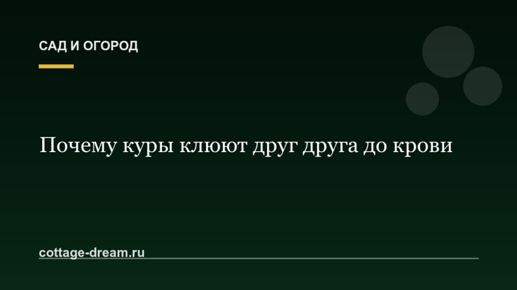 Почему куры клюют друг друга до крови