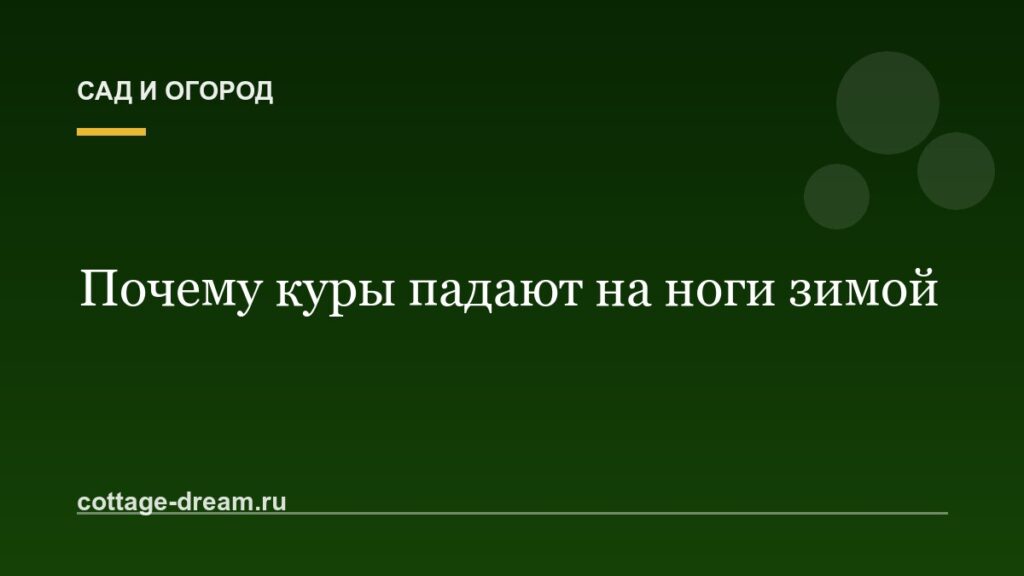 Почему куры падают на ноги зимой