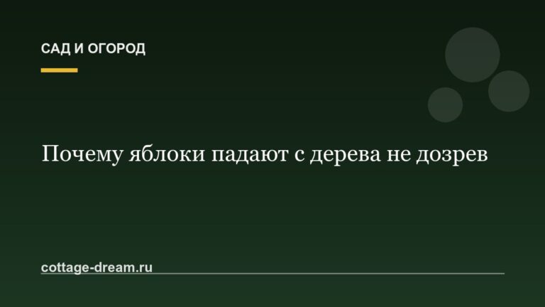 Почему яблоки падают с дерева не дозрев