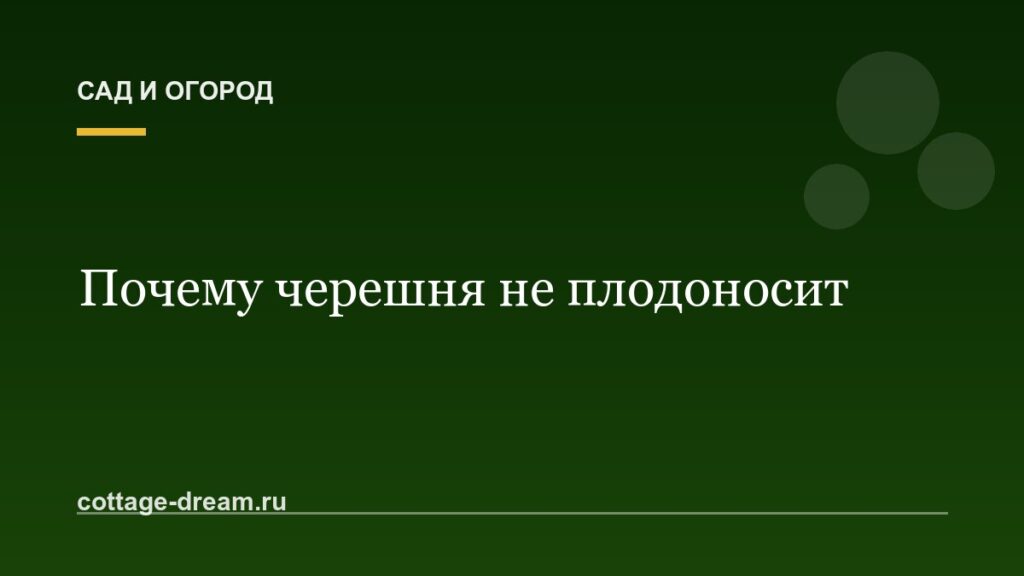 Почему черешня не плодоносит