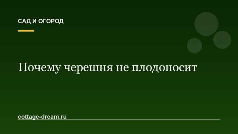 Почему черешня не плодоносит